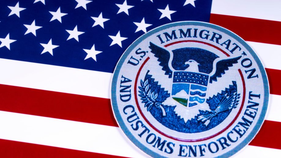 united states immigration and customs enforcement american flag