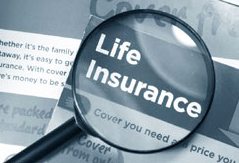 magnifying glass life insurance