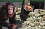 monkey and money