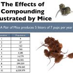 compounding mice